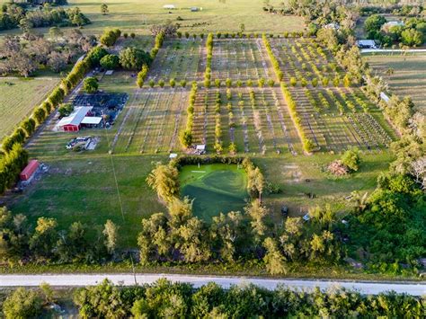 Martin County Lychee Grove Farm For Sale In Florida 219637 Farmflip