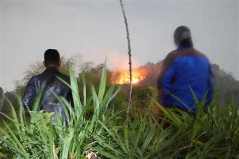 Kebakaran Arjuno Padam Giliran Hutan Gunung Baung Terbakar Radar Bromo