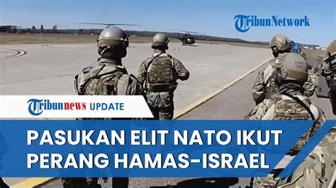 Nato Ikut Campur Diam Diam Kirim Pasukan Elit Ke Medan Perang Hamas