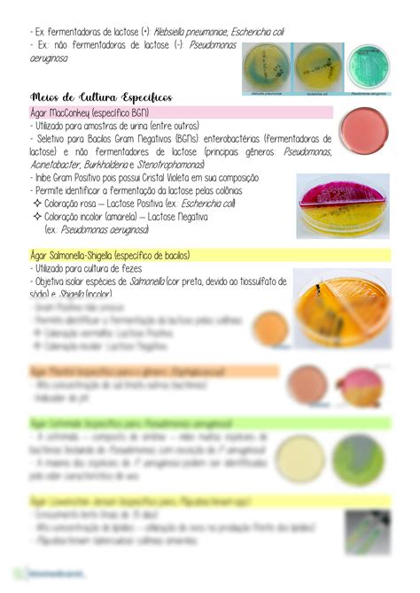 Solution Resumo Bacteriologia Principais Meios De Cultura Studypool