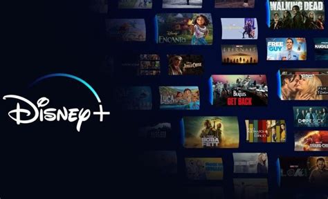 Contenido En Disney Plus Argentina El Catálogo De Películas Para Ver