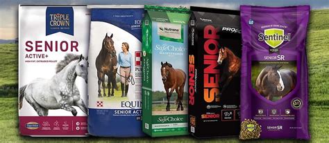 5 Best Senior Horse Feeds For Optimal Equine Health