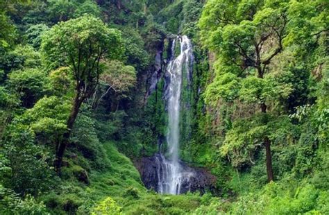 Curug Lawe Rekomendasi Wisata Air Terjun Di Semarang