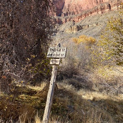 Havasupai Gardens Campground — Grand Canyon National Park Grand