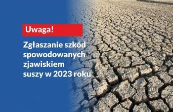 Zasady Szacowania Szk D Powsta Ych W Wyniku Suszy Aktualno Ci Urz D