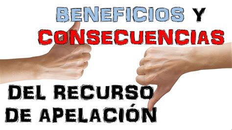 Todo Lo Que Debes Saber Sobre El Recurso De Reforma Y Subsidiario De