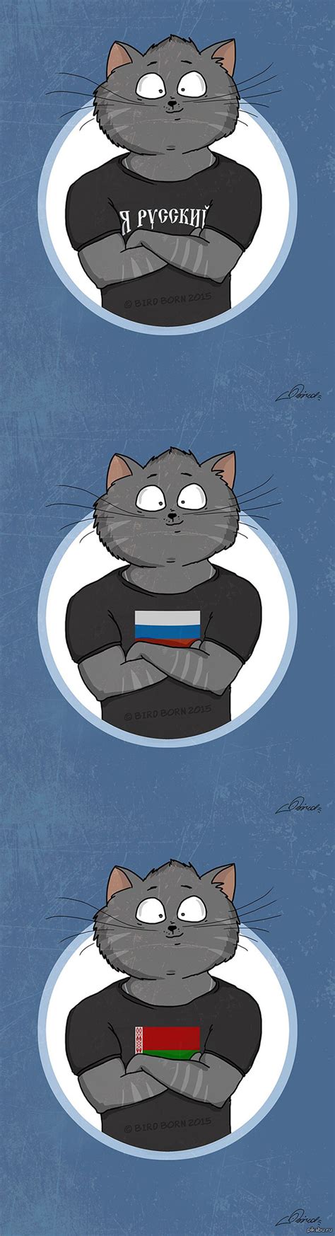 Кот - патриот! | Пикабу