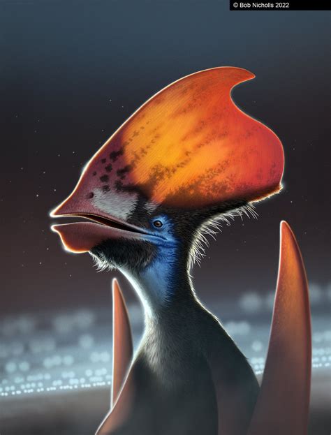 Pterosaurs May Have Had Brightly Colored Feathers Exquisite Fossil