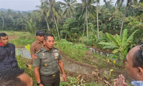 Tni Bantu Program Ketahanan Pangan Nasional Abadikini