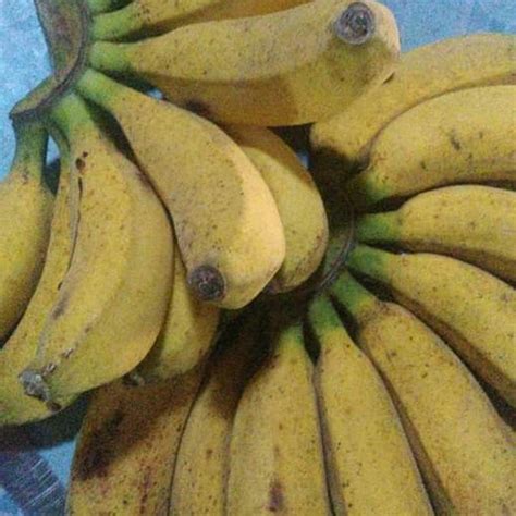 Jual Pisang Raja Bulu Super Jakarta Pusat Kios Sayur Segar Adrian