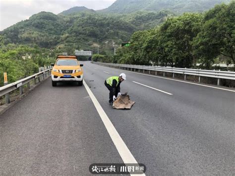 与时间赛跑！雪岭隧道管理所快速处理路面抛洒物隧道新浪新闻