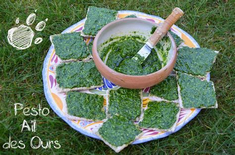 Recette de pesto à lail des ours frais