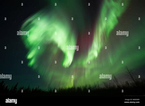 Northern Lights Aurora Borealis North Of Fairbanks Alaska Usa March