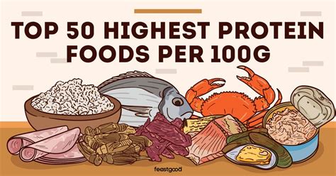 Top 50 Highest Protein Foods Per 100g Infographic