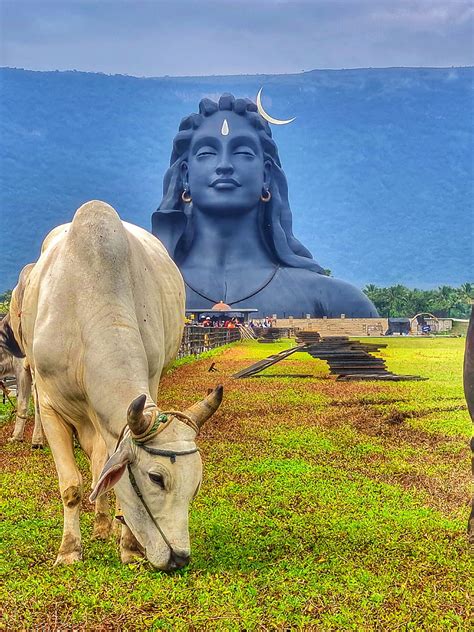 Isha Shiva Wallpaper For Laptop