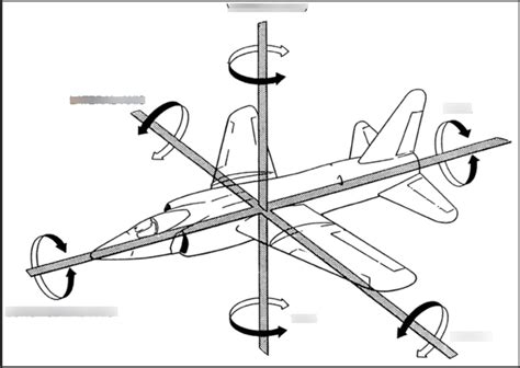 Axis Diagram | Quizlet