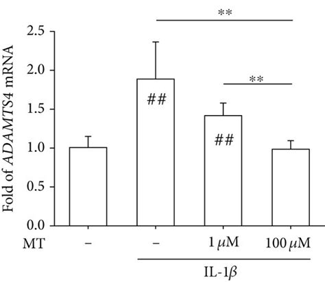 In Vitro Treatments With Melatonin Inhibited The Expression Of