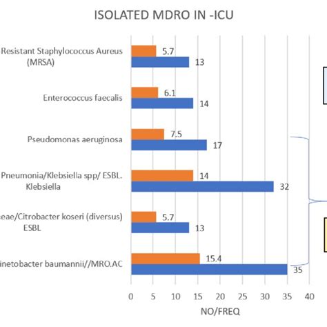 Most Common Isolated Multi Drug Resistant Organisms Mdro In Sepsis Download Scientific