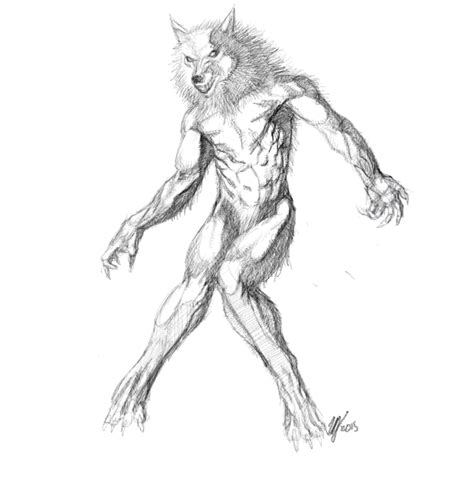 Wolf Human By Terminator7000 On Deviantart