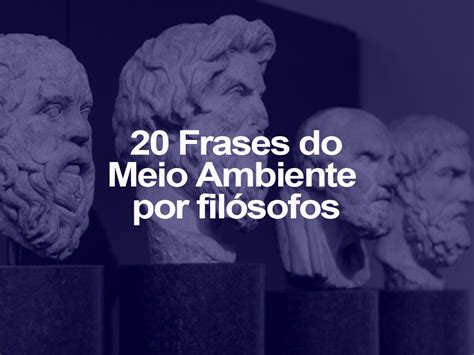 10 Frases Do Meio Ambiente Sobre Mares E Oceanos Oeco