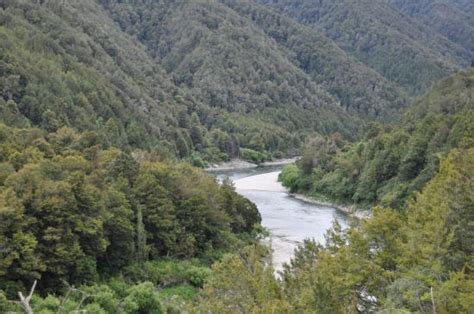 Paparoa National Park Visitor Information Centre Punakaiki 2020 All