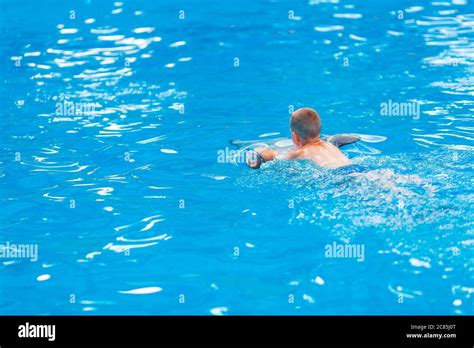 Happy little boy swimming with dolphins in Dolphinarium. Swimming ...