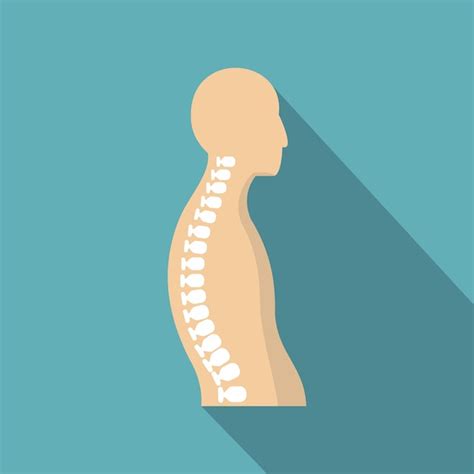 Premium Vector Human Spine Icon Flat Illustration Of Human Spine