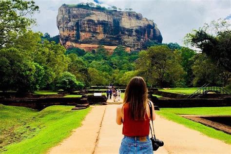 Excursion privée d une journée à Sigiriya Dambulla et Minneriya Safari