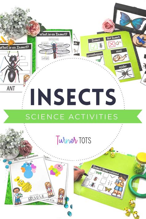 Bugs And Science Activities For Preschoolers To Explore Tiny Critters