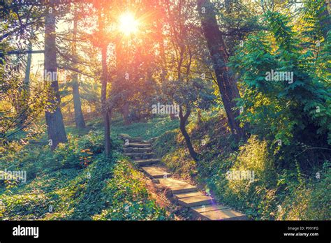 Botanical Garden In Tbilisi Georgia Country Stock Photo Alamy