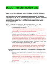 Kp PGlo Transformation Pre LabLab Analysis PGLO Transformation Lab
