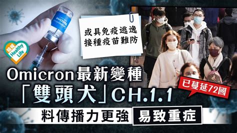 變種病毒｜omicron最新變種「雙頭犬」ch11 料傳播力更強易致重症 晴報 健康 生活健康 D230131