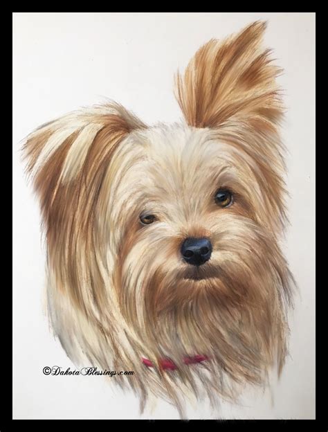 Color pencil artwork, dog portrait commissions, realistic dog portraits #artist #art # ...