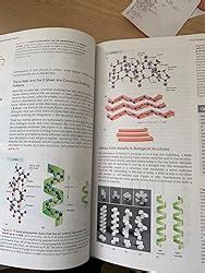 Essential Cell Biology Fifth Edition Amazon Co Uk Bruce Alberts