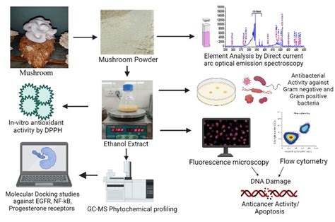 Metabolites Free Full Text Elemental Analysis Phytochemical