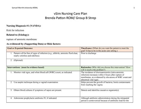 V Sim Brenda Patton Care Plan Samuel Merritt University N L Vsim