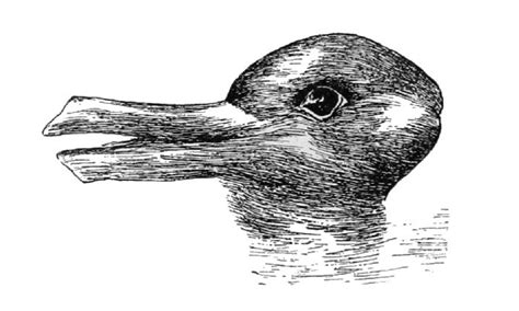 Duck Or Rabbit Drawing at PaintingValley.com | Explore collection of ...