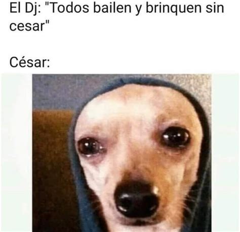 Cesar Meme Subido Por Luistorres Memedroid