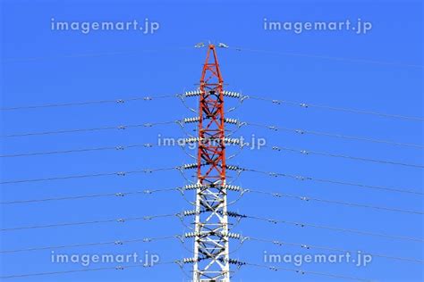 高圧線鉄塔の電線と青空の写真素材 24379205 イメージマート