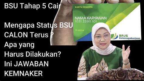 Mengapa Status Bsu Calon Terus Apa Yang Harus Dilakukan Ini Penjelasan