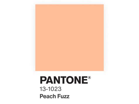 El color Pantone del año 2024 Peach Fuzz RSVPOnline