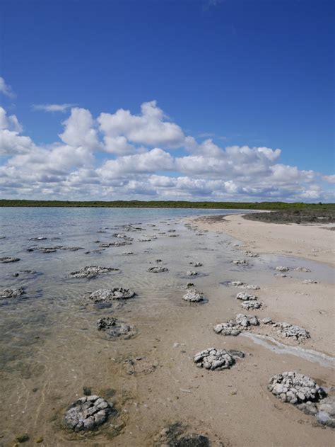 Stromatolites and Lake Thetis, Cervantes WA 6511, Australia