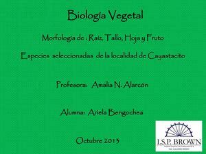 Calaméo Biología Vegetal