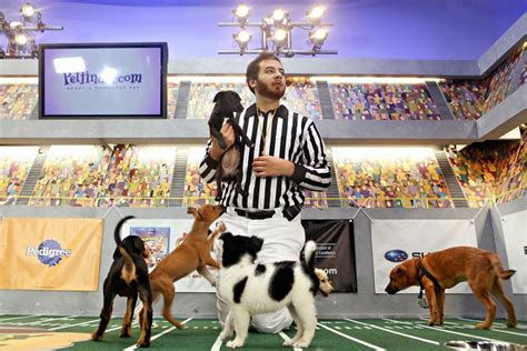 Behind the scenes of The Puppy Bowl - Sports Illustrated