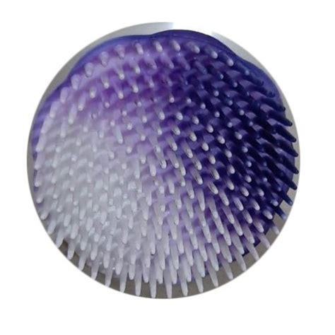 Plastic Round Comb Size 3 Inch At Rs 10 Piece In Indore Id 22029801955