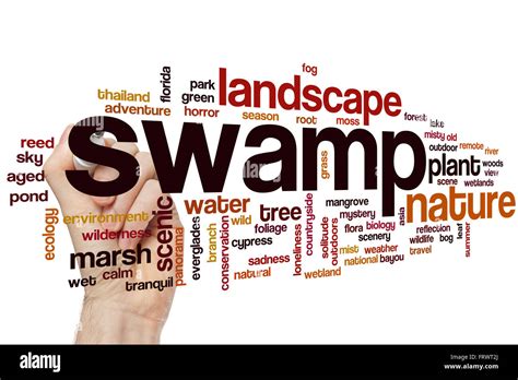 Swamp Word Cloud Concept Stock Photo Alamy