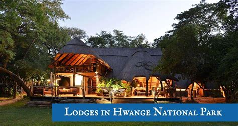 Top 5 Safari Lodges in Hwange National Park - Places to Stay Hwange