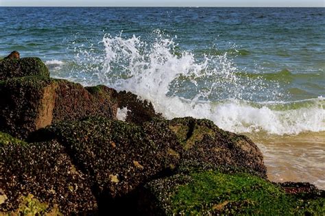 Grandes Ondas Quebrando Na Praia Espuma Do Mar Costa Da Onda