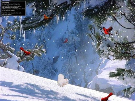 10 Top Winter Screensavers And Wallpapers FULL HD 1920×1080 For PC ...