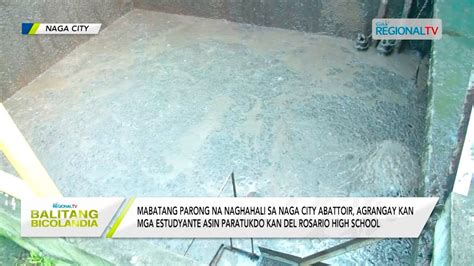 Balitang Bicolandia Mabatang Parong Na Naghahali Sa Naga City Abattoir